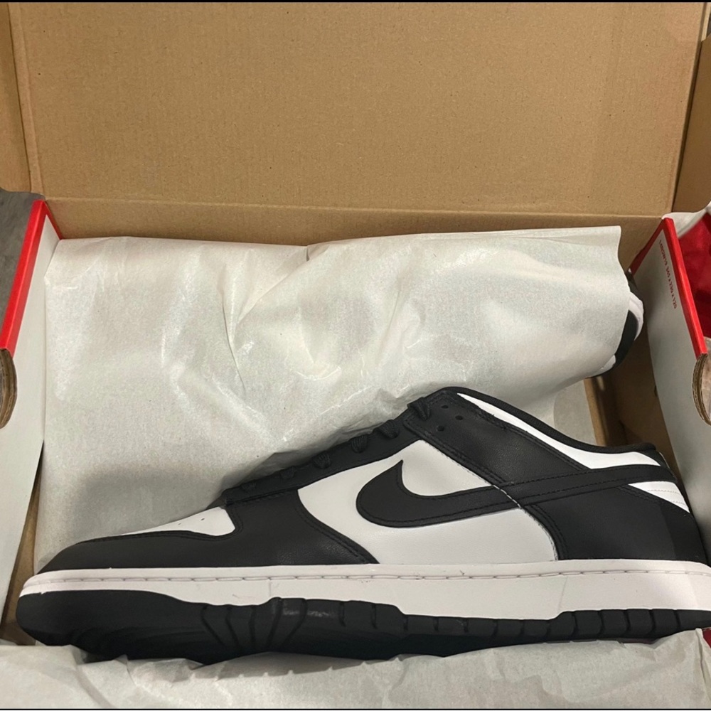 Nike Dunk Low Retro Men's Shoes